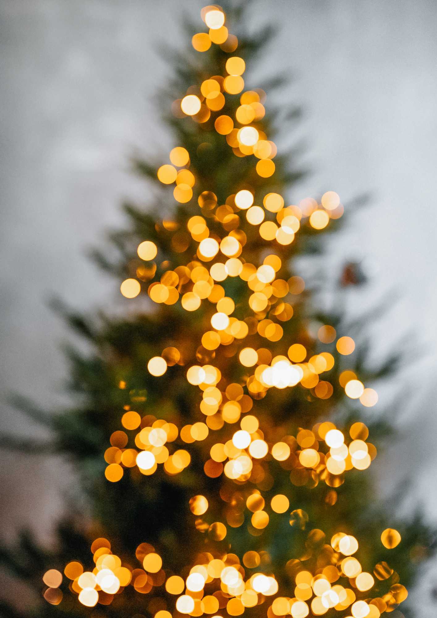 Beleuchteter Weihnachtsbaum